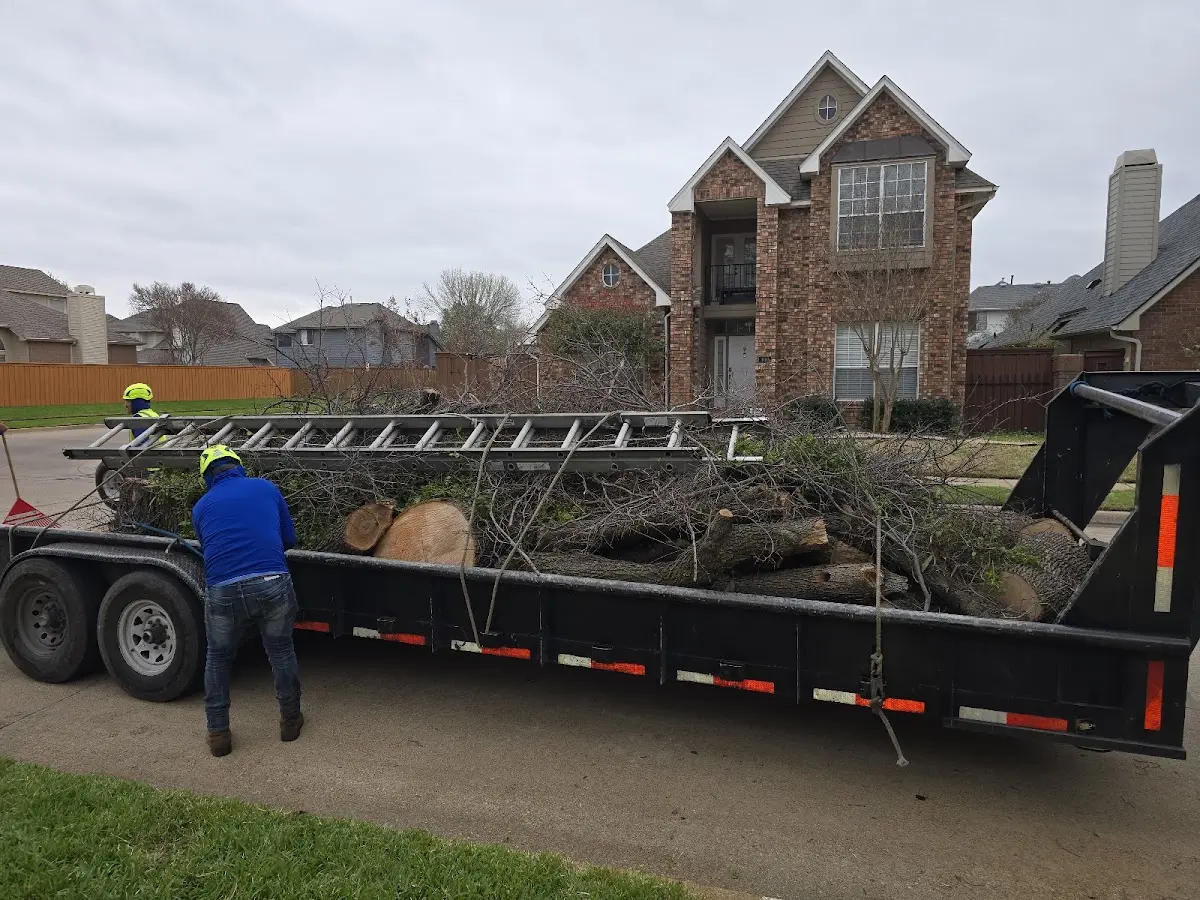 Expert Lot Clearing with proper safety equipment in Baring